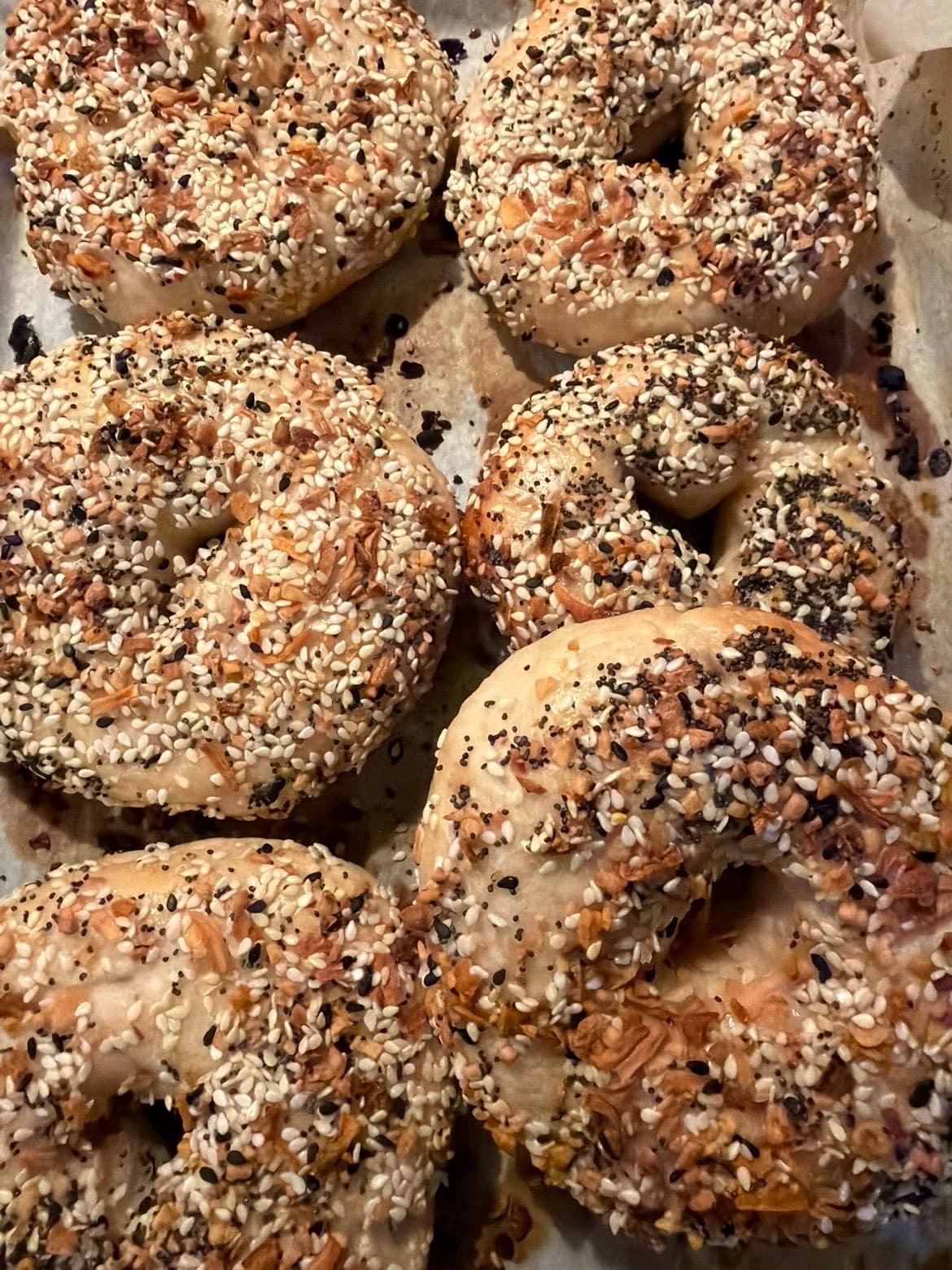 Fresh batch of everything bagels